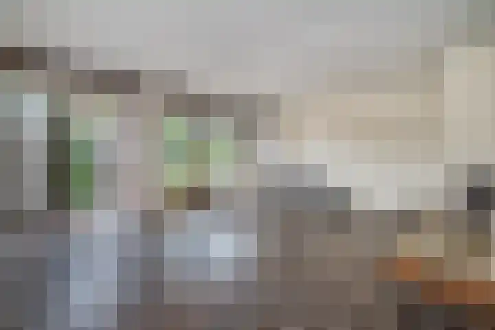 Eilandenweg 46 Capelle aan den IJssel thumbnail 10