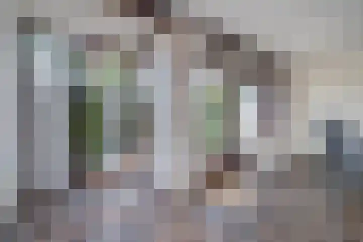Eilandenweg 46 Capelle aan den IJssel thumbnail 13