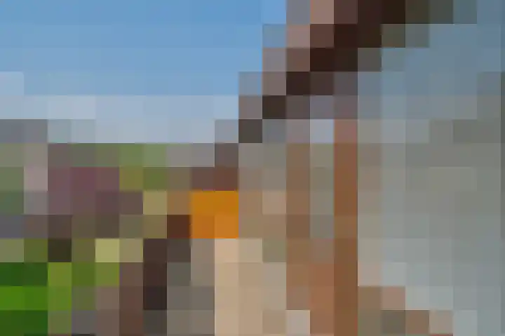 Eilandenweg 46 Capelle aan den IJssel thumbnail 19