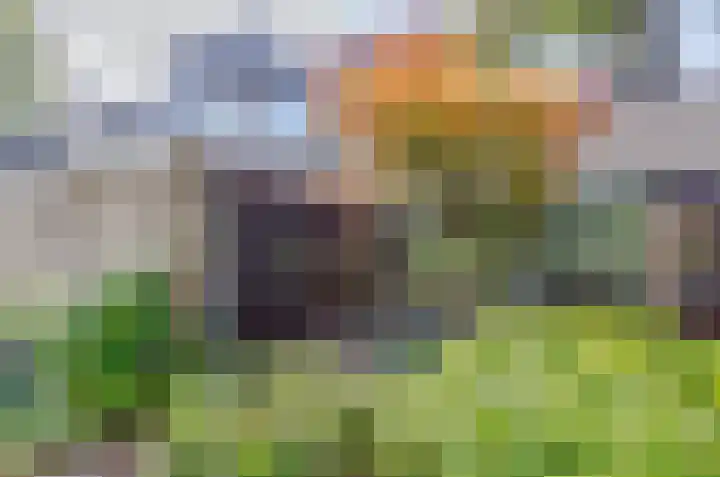 Eilandenweg 46 Capelle aan den IJssel thumbnail 31