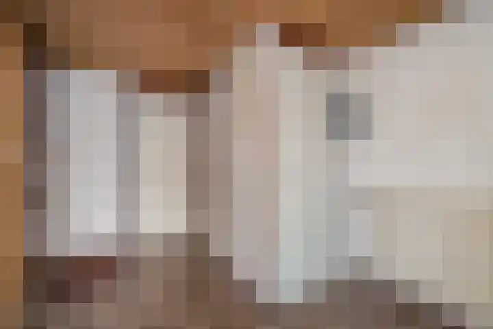 Eilandenweg 46 Capelle aan den IJssel thumbnail 5