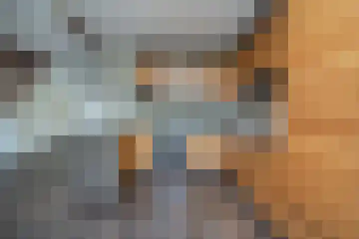 Eilandenweg 46 Capelle aan den IJssel thumbnail 8
