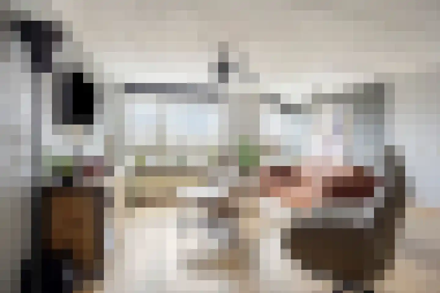 Eilandplein 200 Duiven thumbnail 14