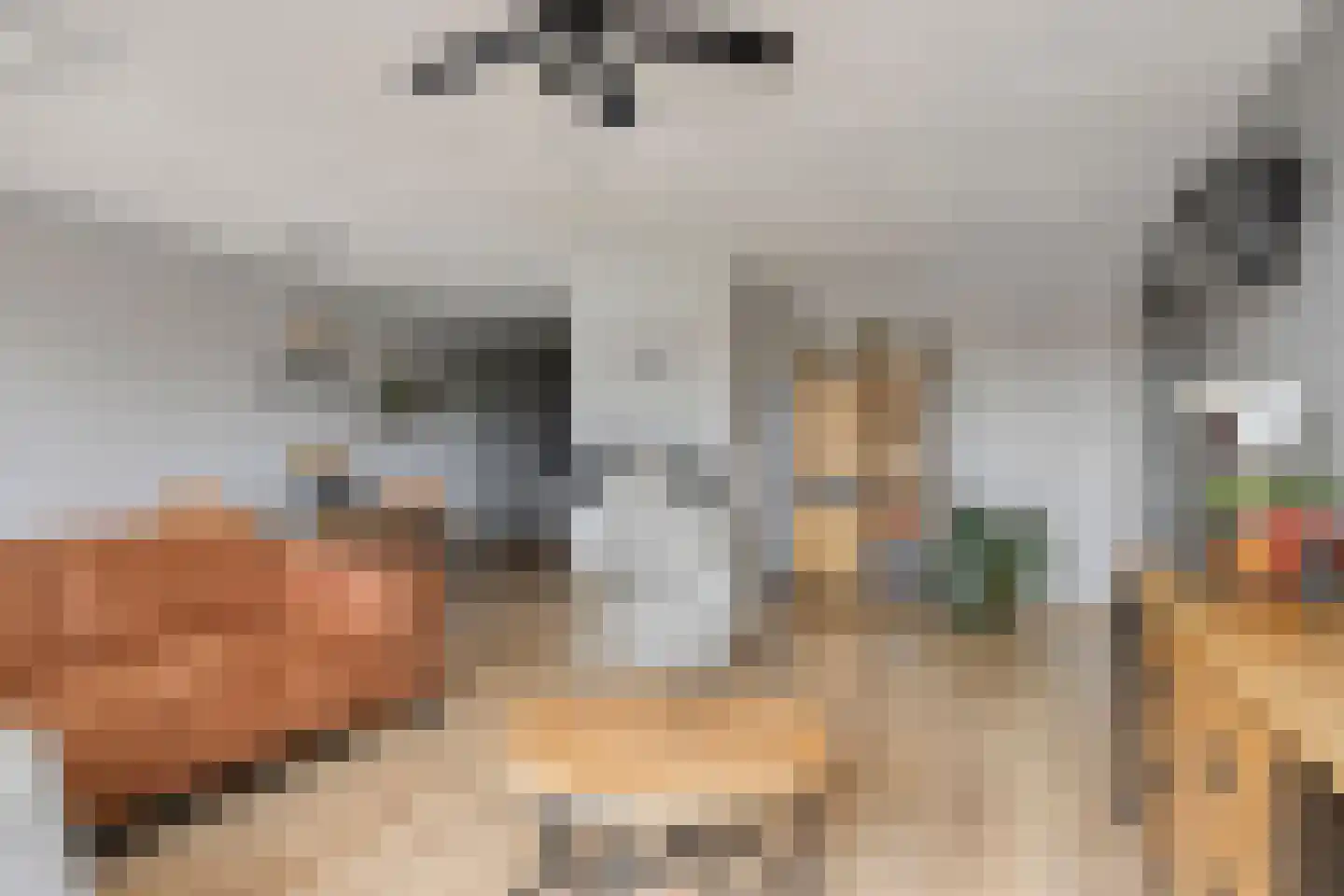 Eilandplein 200 Duiven thumbnail 15