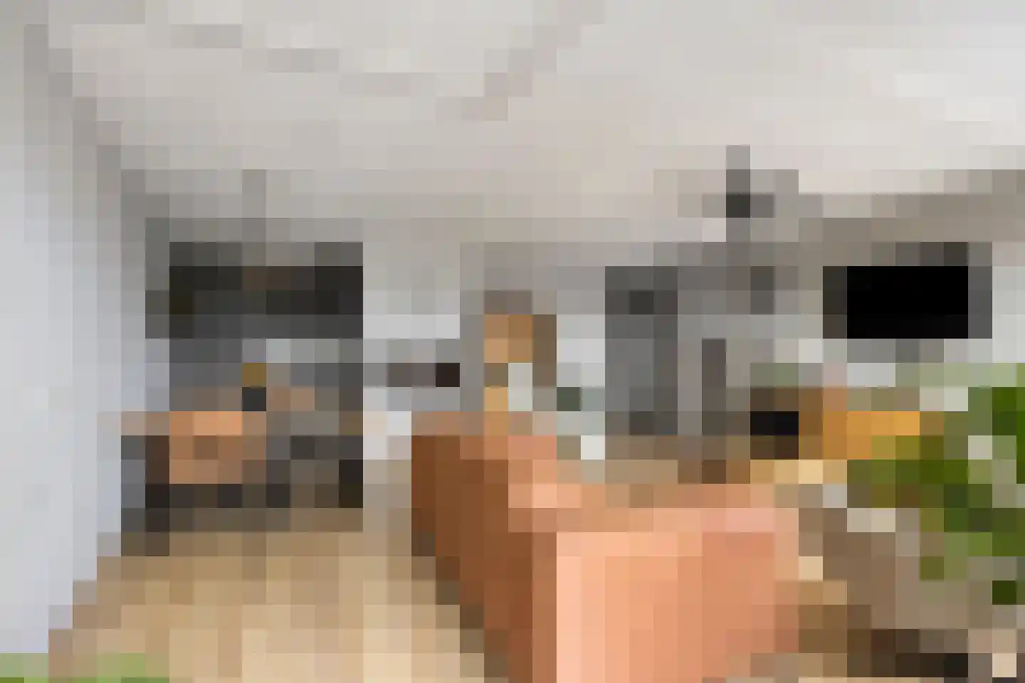 Eilandplein 200 Duiven thumbnail 17