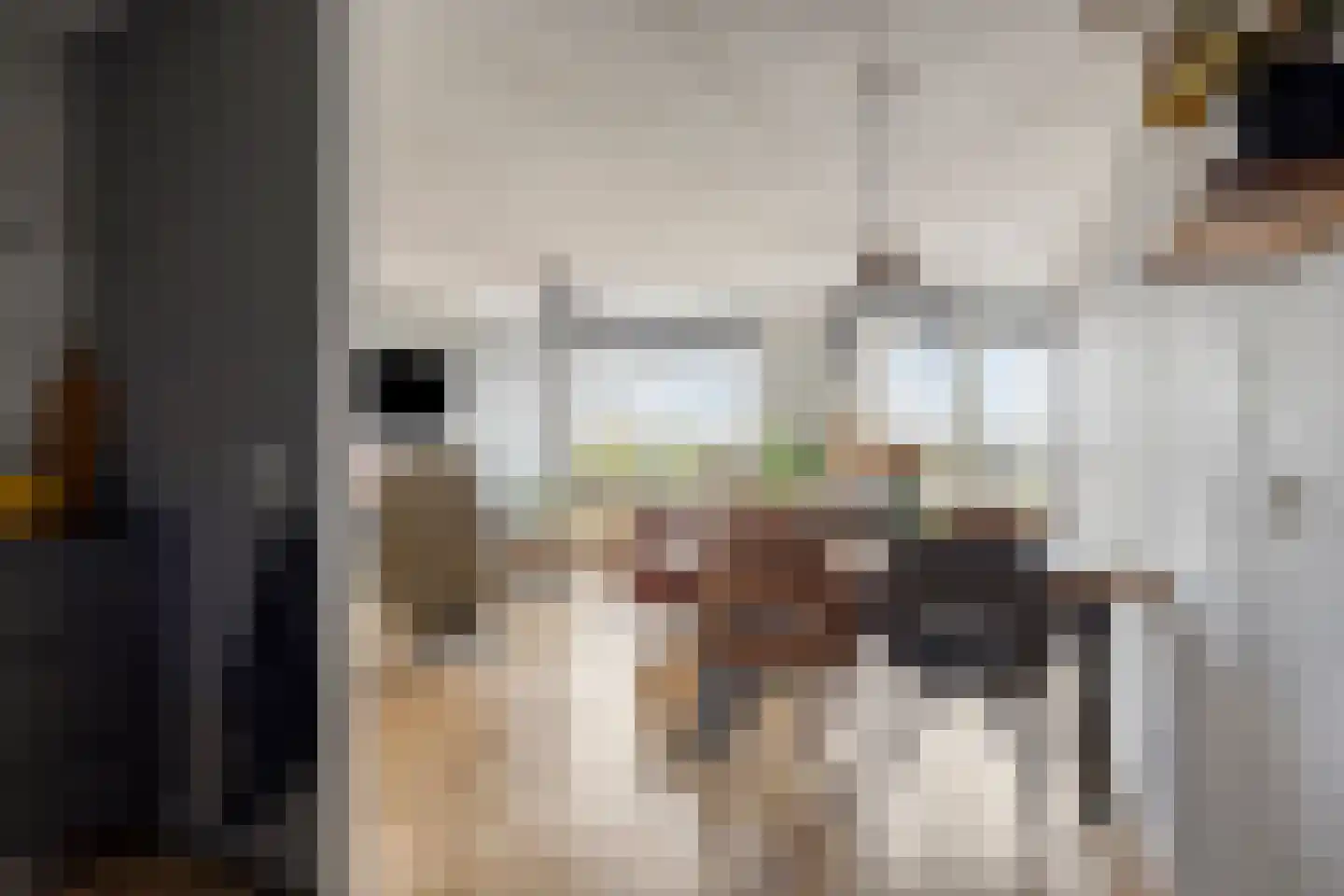 Eilandplein 200 Duiven thumbnail 21