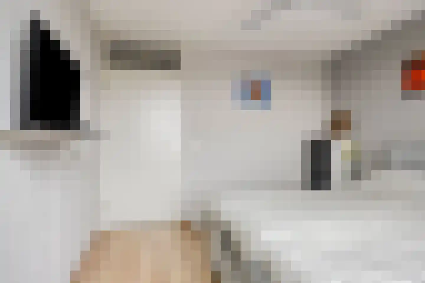 Eilandplein 200 Duiven thumbnail 23