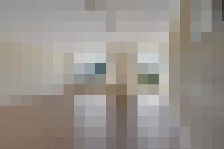 Eilandplein 222 Duiven thumbnail 18