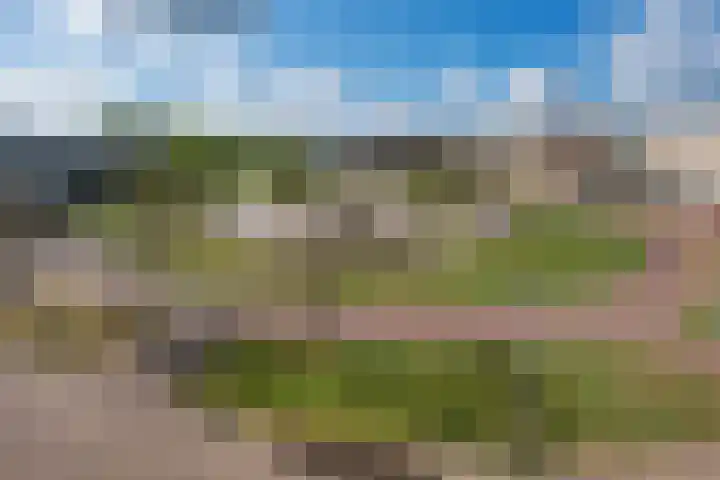 Eilandplein 222 Duiven thumbnail 40