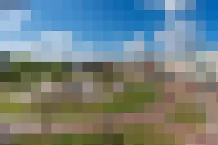 Eilandplein 222 Duiven thumbnail 41