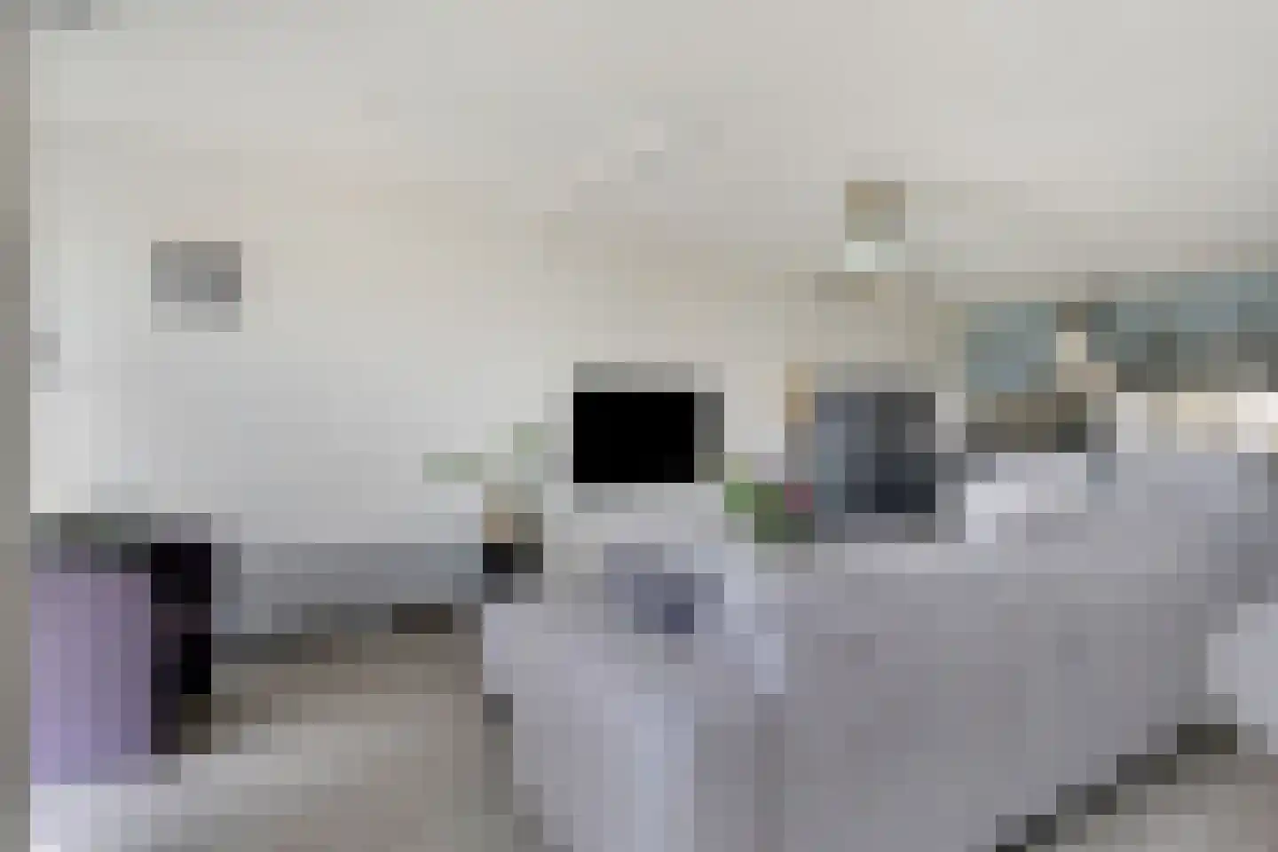 Eilandplein 256 Duiven thumbnail 20