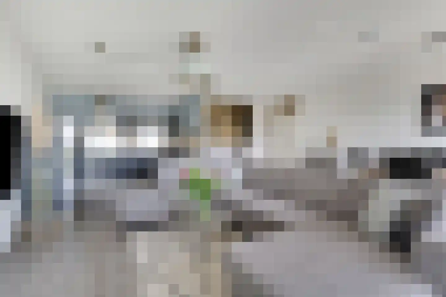 Eilandplein 256 Duiven thumbnail 21