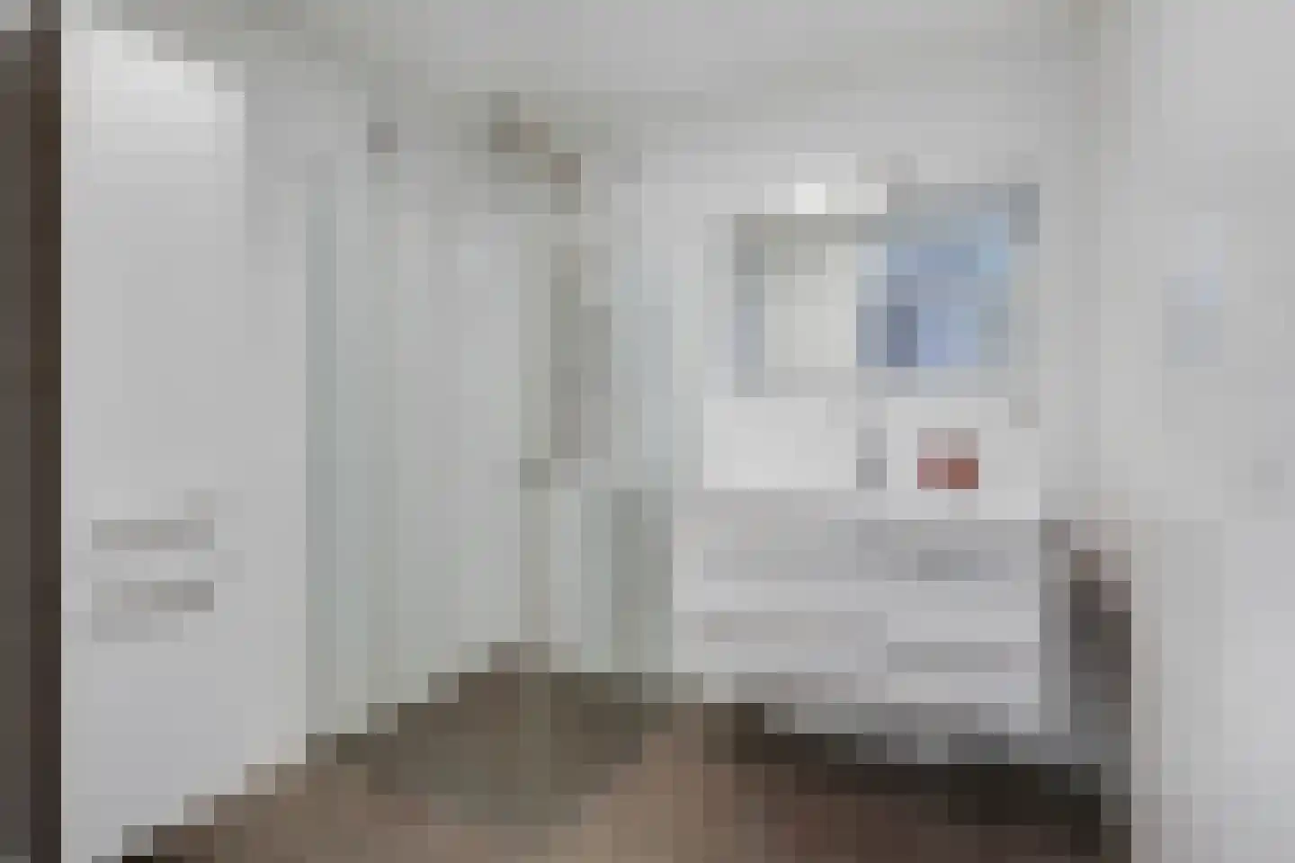 Eilandplein 256 Duiven thumbnail 33