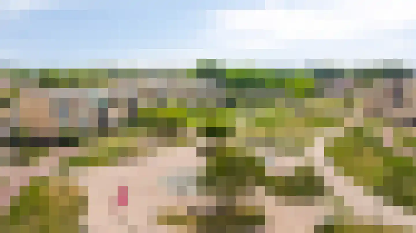Eilandplein 256 Duiven thumbnail 43