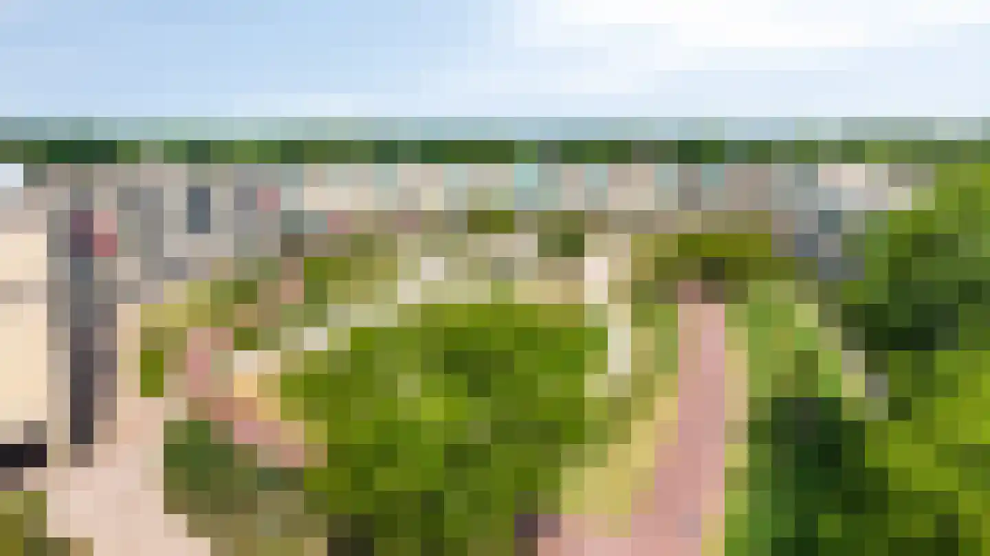 Eilandplein 256 Duiven thumbnail 45