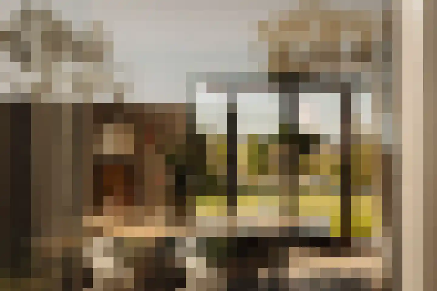 Eilandseweg 14 Nederhorst den Berg thumbnail 14