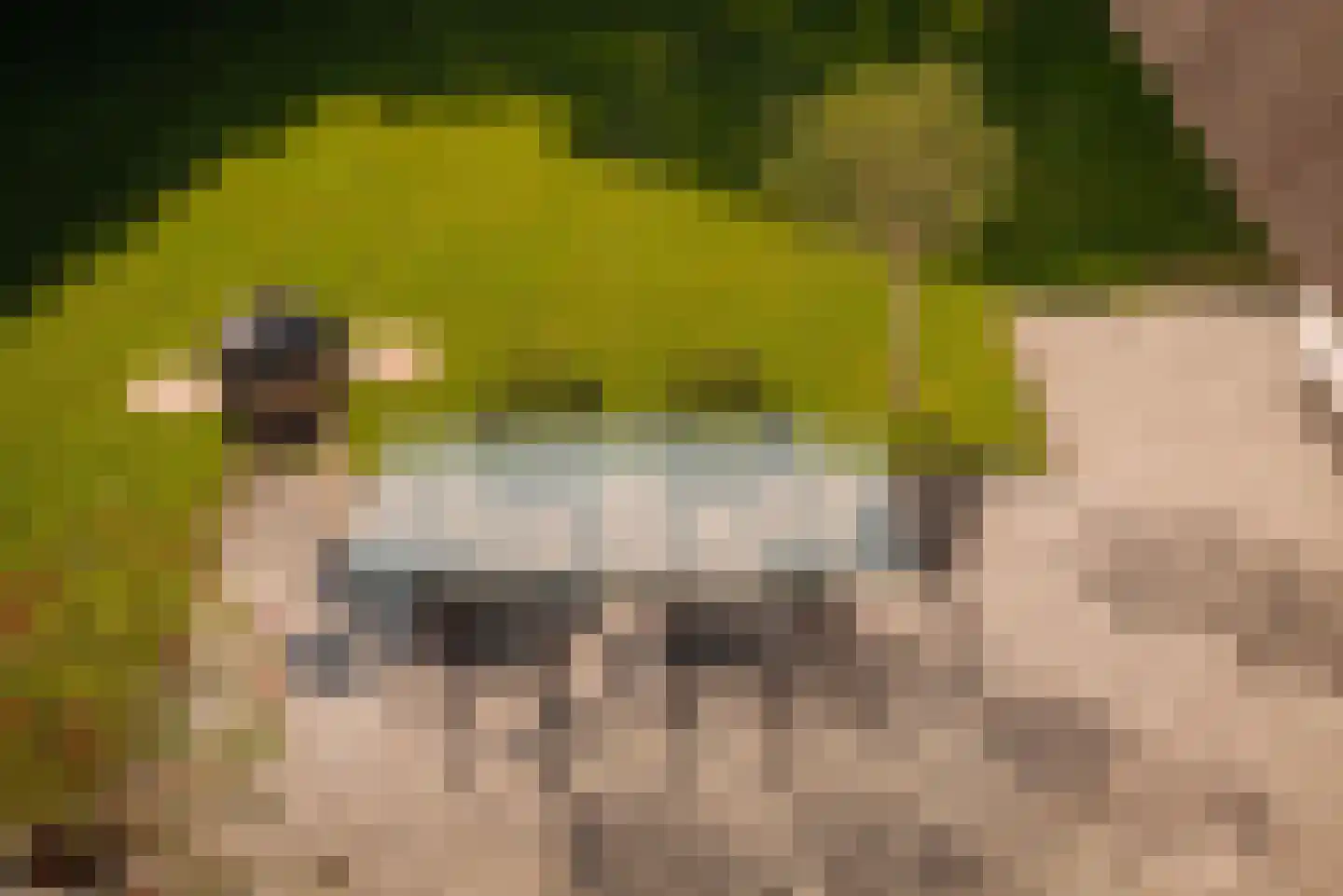 Eilandseweg 14 Nederhorst den Berg thumbnail 16