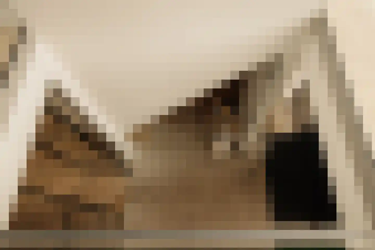 Eilandseweg 14 Nederhorst den Berg thumbnail 32