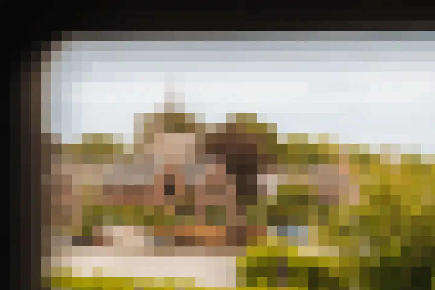 Eilandseweg 14 Nederhorst den Berg thumbnail 36
