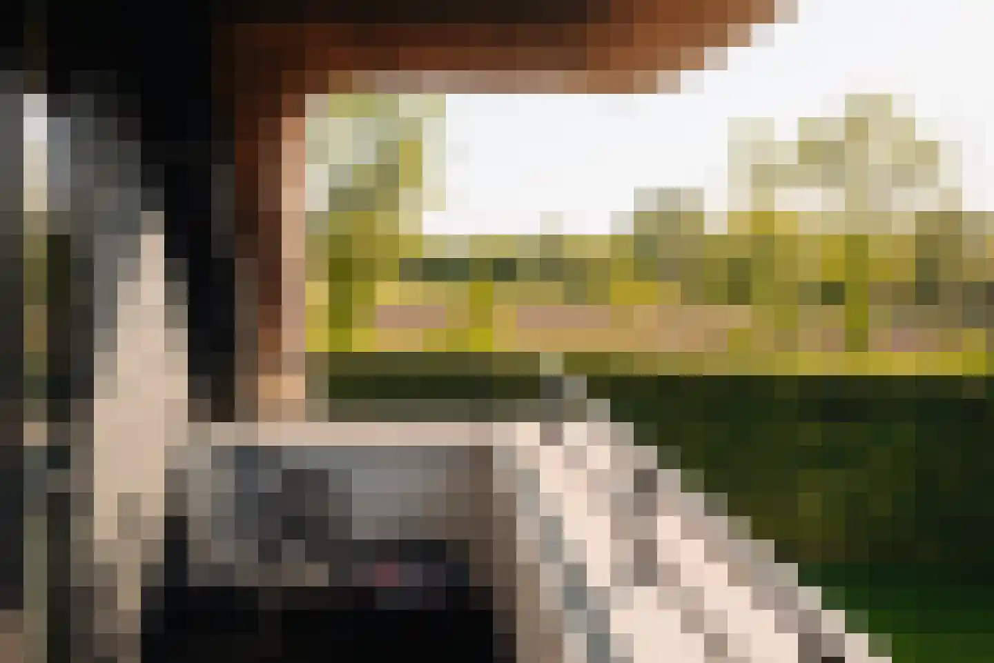 Eilandseweg 14 Nederhorst den Berg thumbnail 40