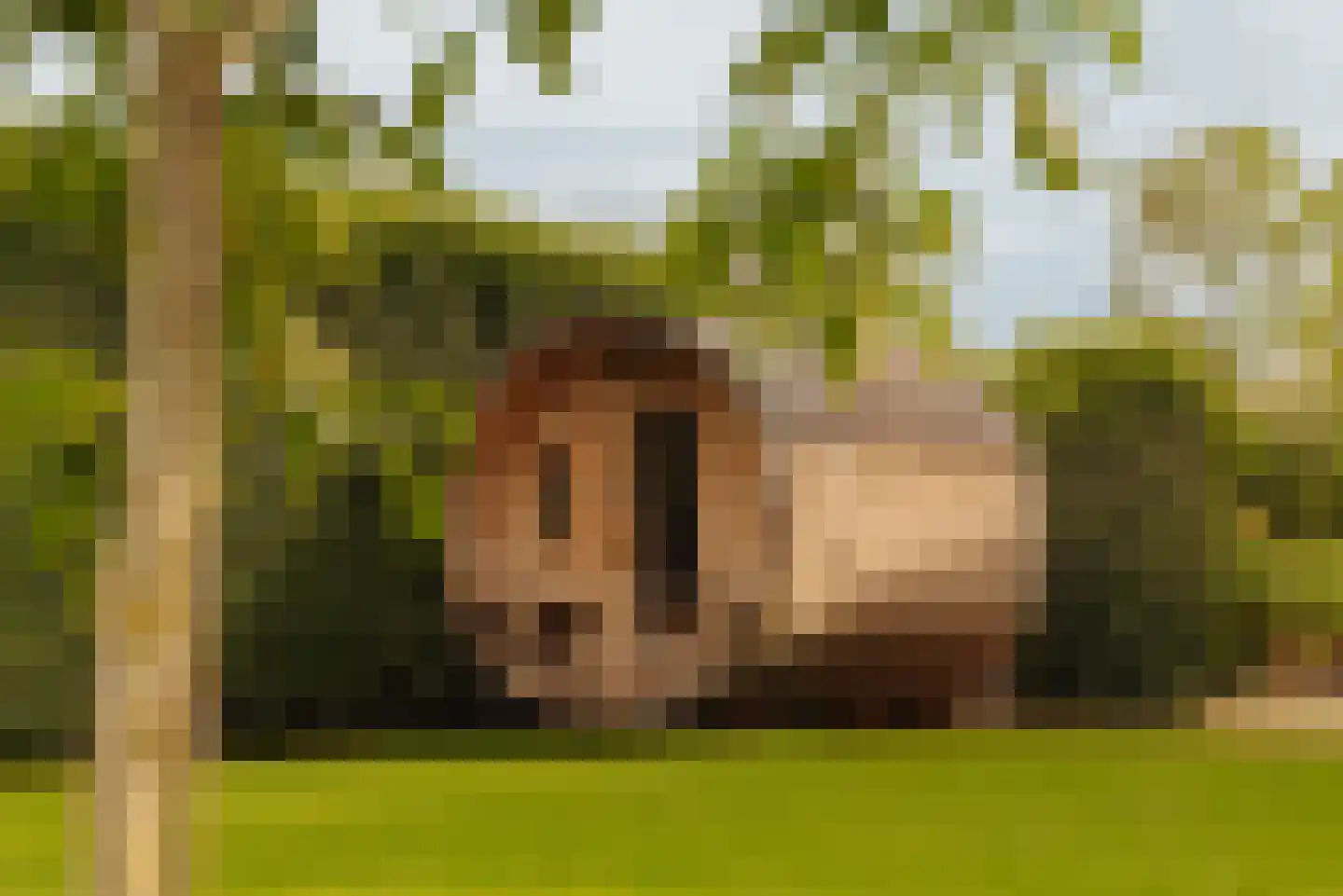 Eilandseweg 14 Nederhorst den Berg thumbnail 65