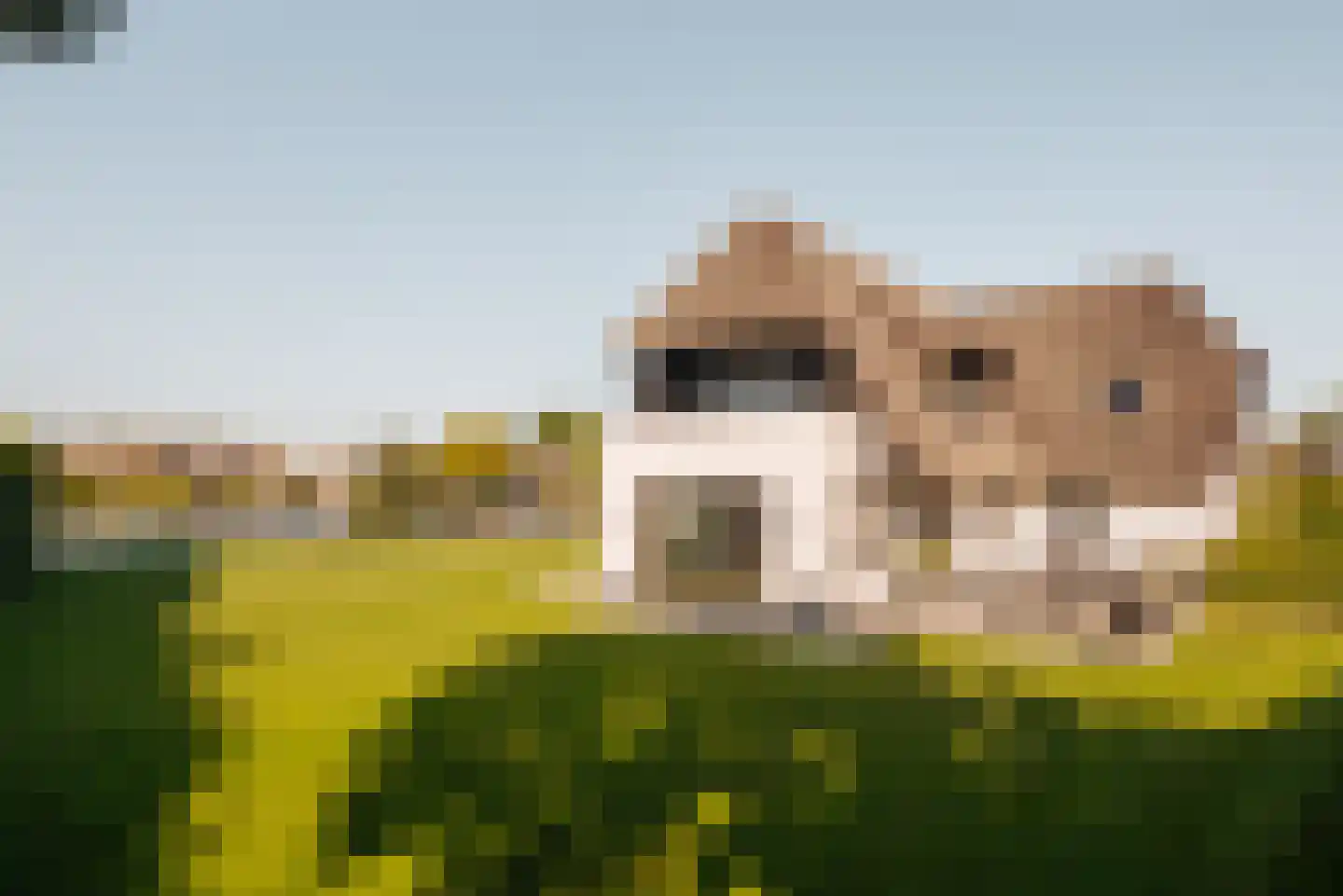 Eilandseweg 14 Nederhorst den Berg thumbnail 67