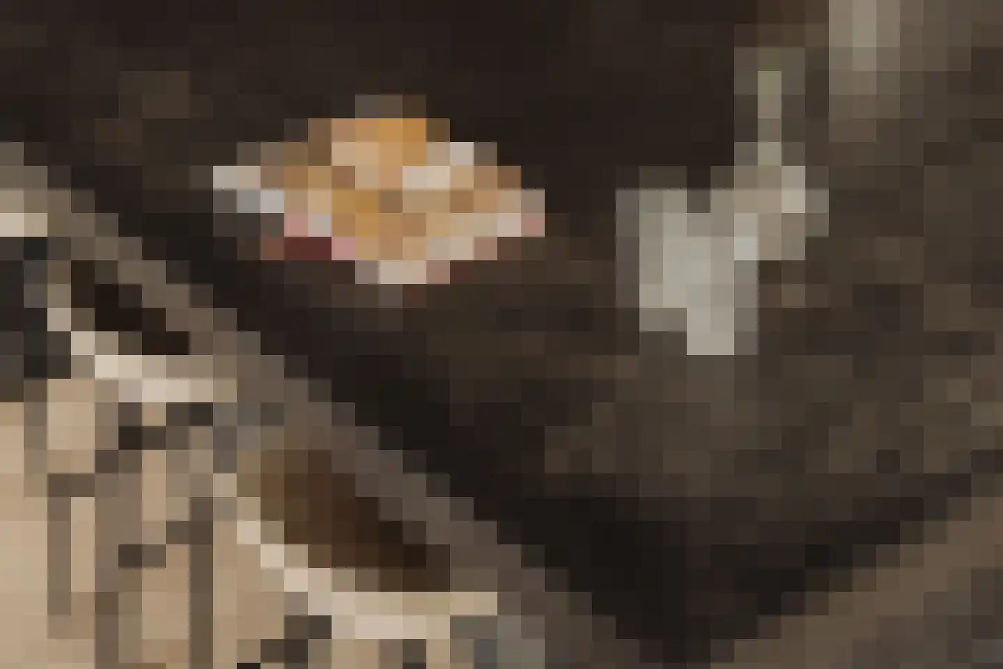 Eilandseweg 14 Nederhorst den Berg thumbnail 8