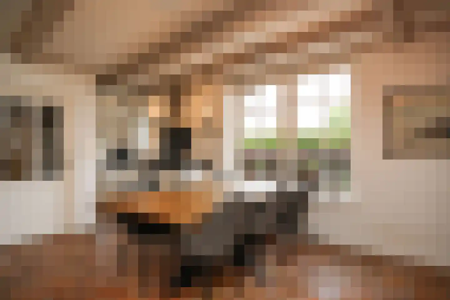 Eilandseweg 16 a Nederhorst den Berg thumbnail 8