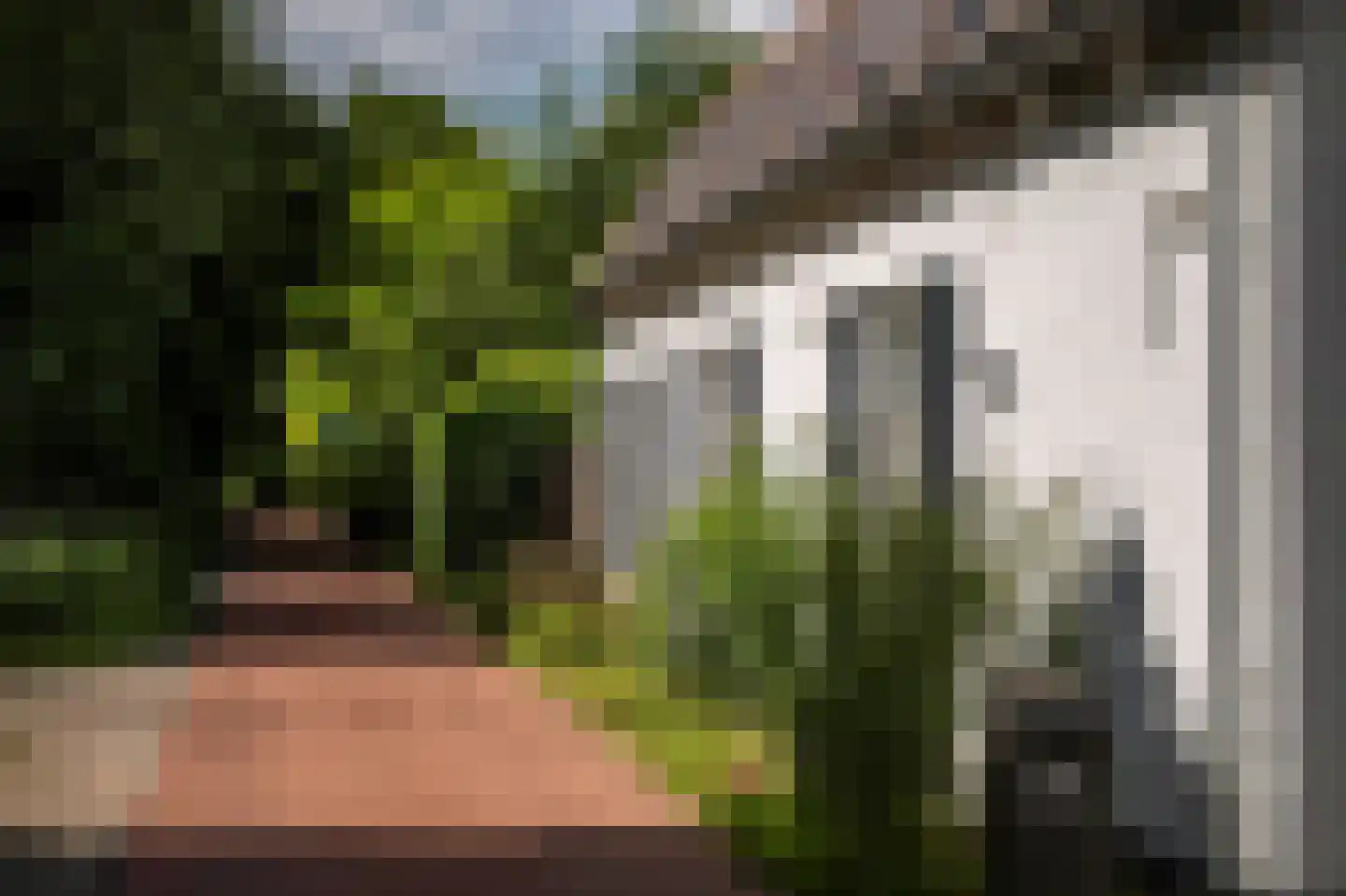Eilandseweg 27 Nederhorst den Berg thumbnail 51