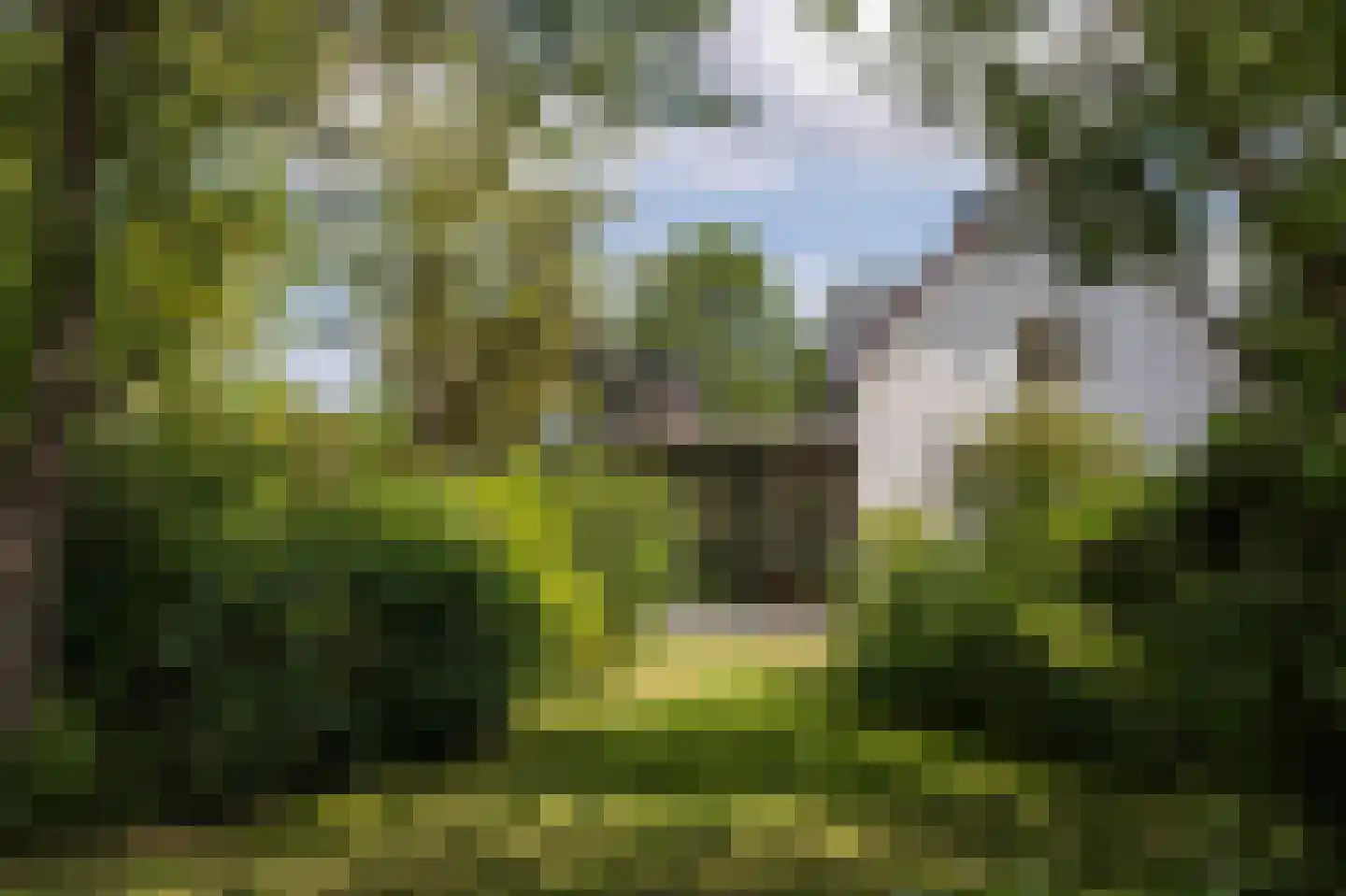 Eilandseweg 27 Nederhorst den Berg thumbnail 52