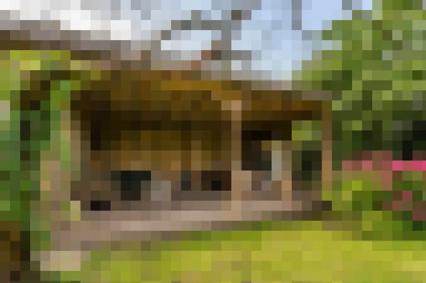 Eilandseweg 27 Nederhorst den Berg thumbnail 56