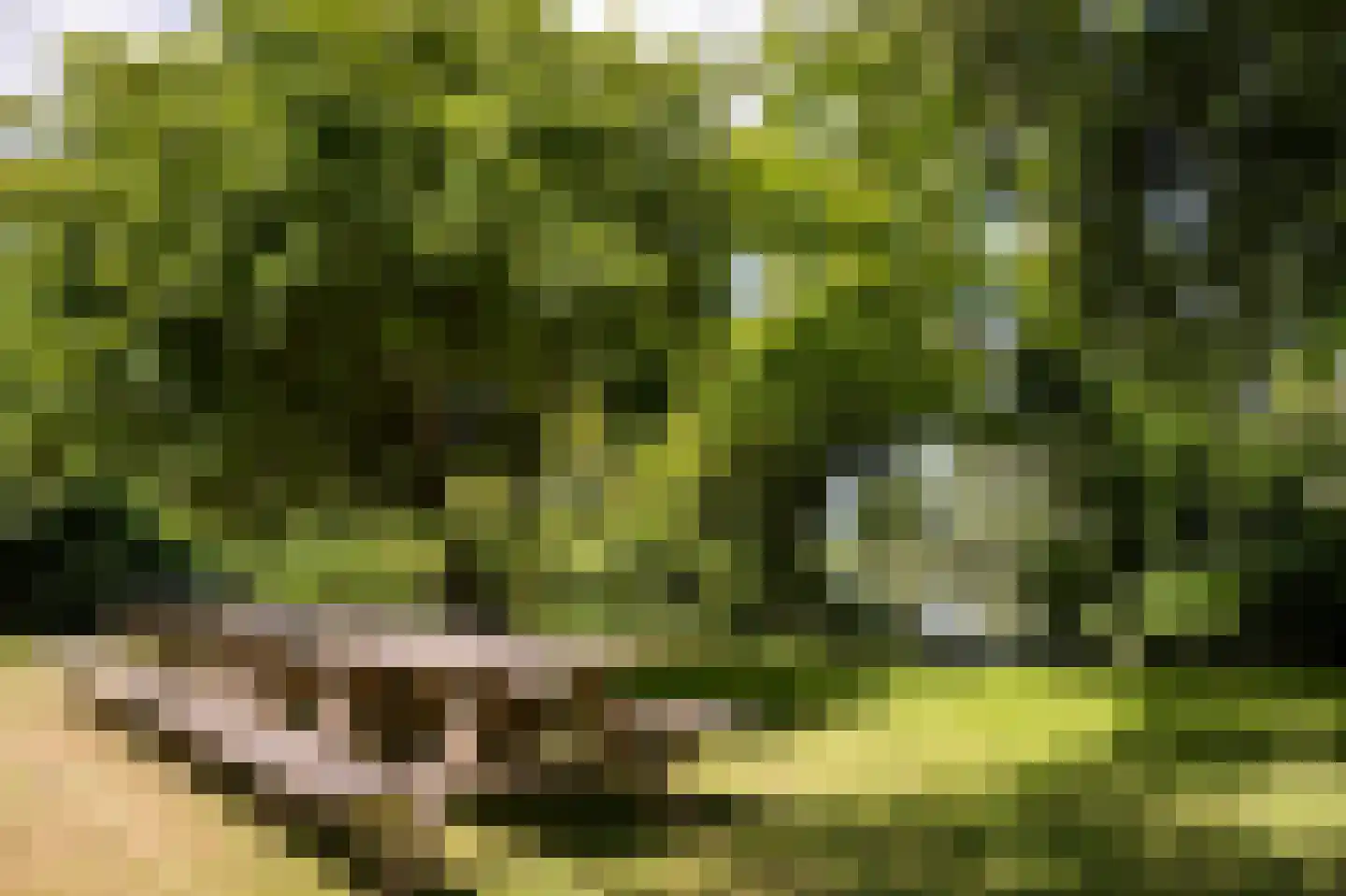 Eilandseweg 27 Nederhorst den Berg thumbnail 60