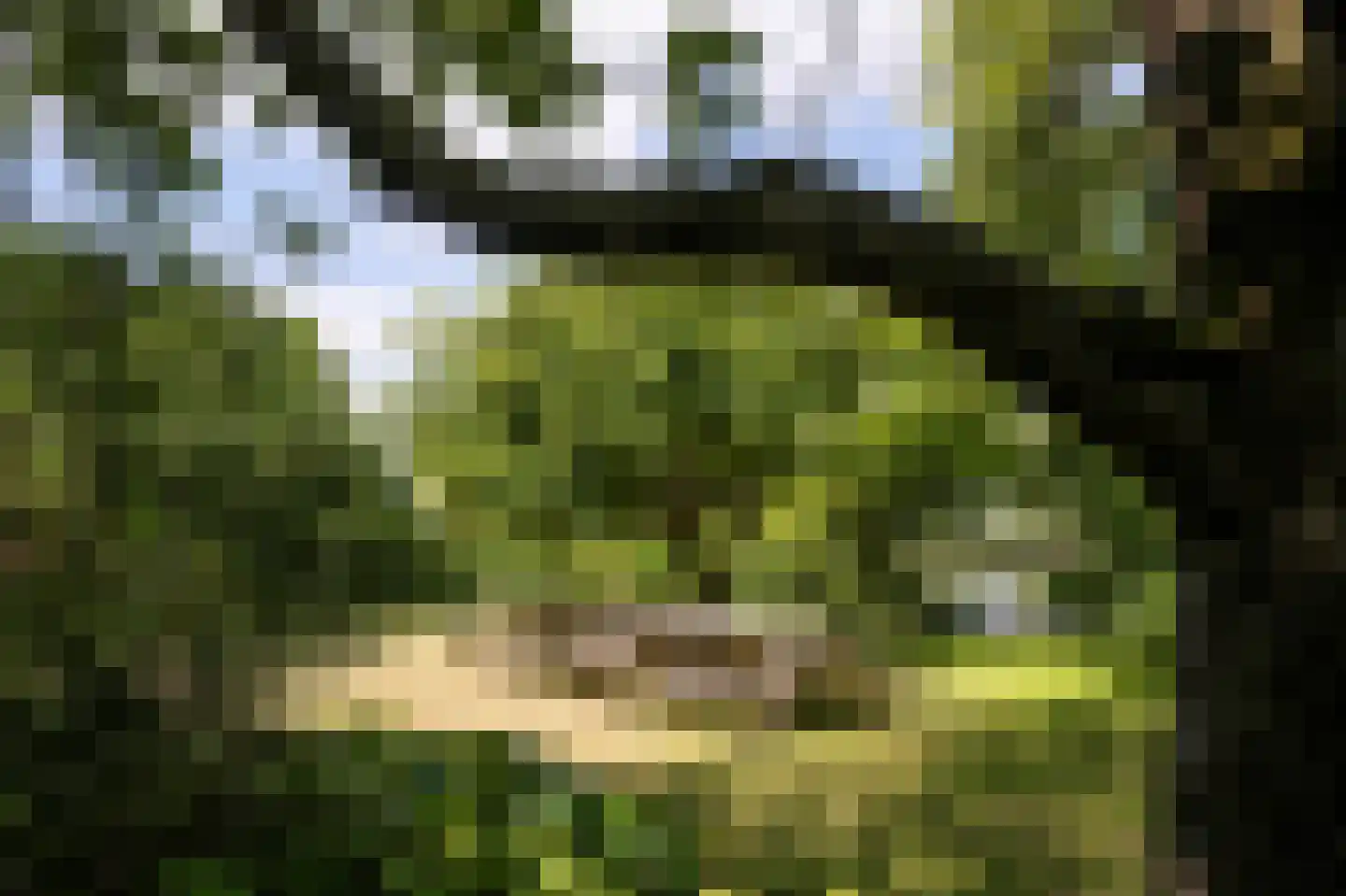 Eilandseweg 27 Nederhorst den Berg thumbnail 61
