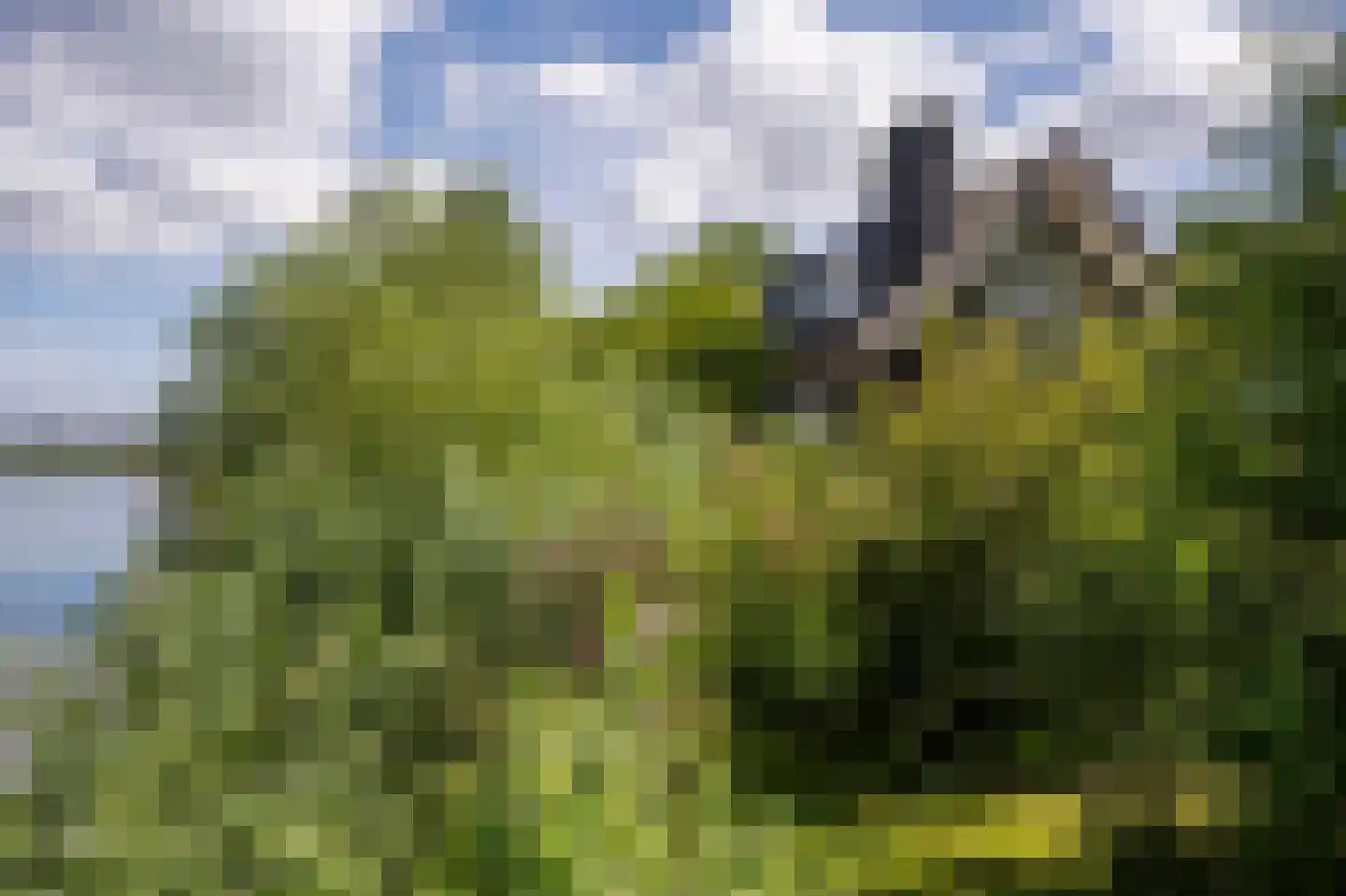 Eilandseweg 27 Nederhorst den Berg thumbnail 62