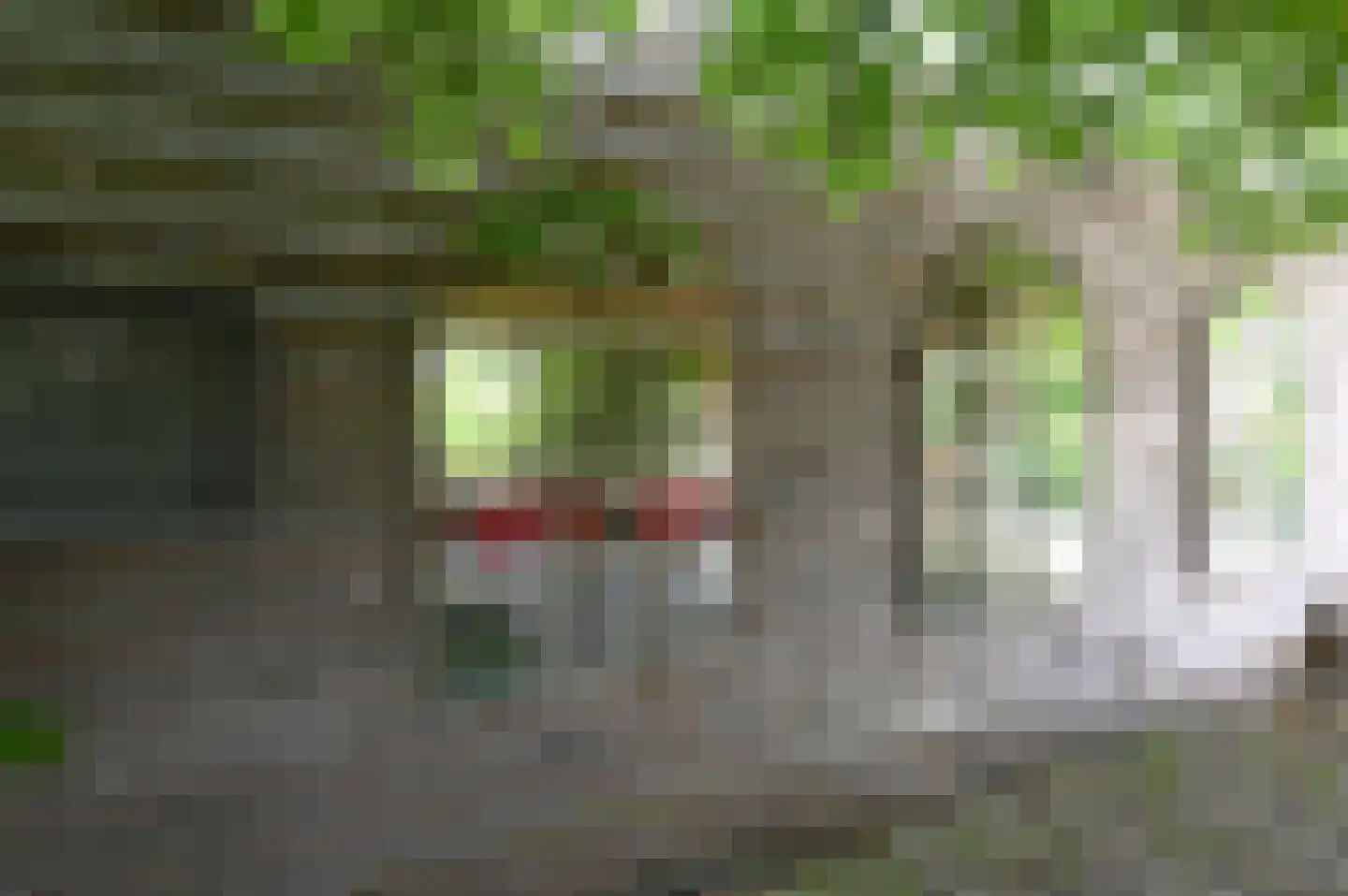 Eilandseweg 32 C 005 Nederhorst den Berg thumbnail 10