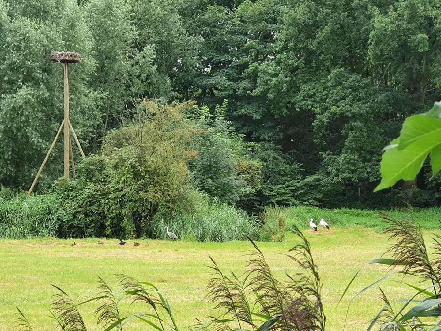 Eilandseweg 32 C 111 Nederhorst den Berg thumbnail 44