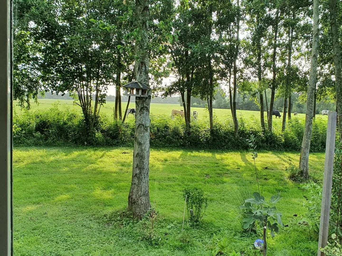 Eilandseweg 32 C 111 Nederhorst den Berg thumbnail 5