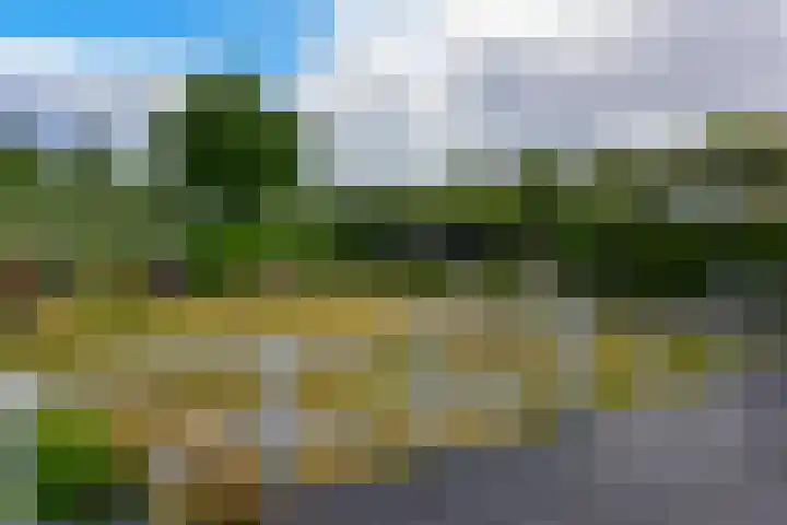 Eilandseweg 32 C174 Nederhorst den Berg thumbnail 17