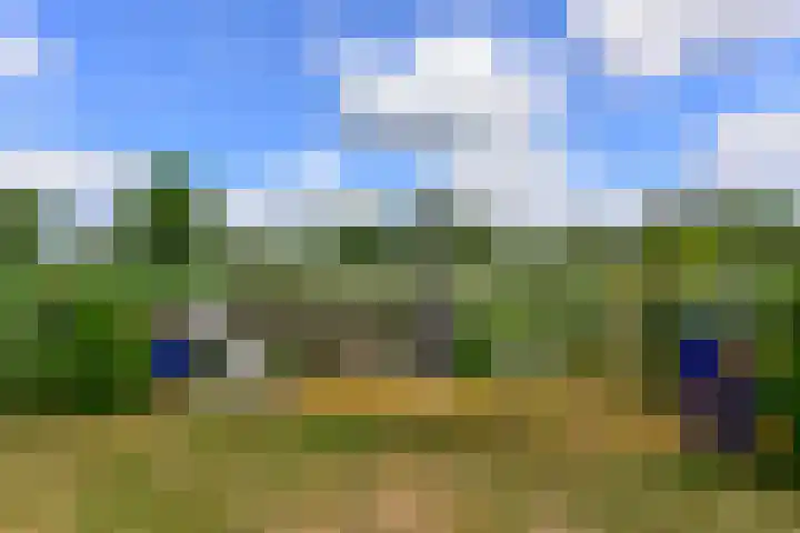 Eilandseweg 32 C174 Nederhorst den Berg thumbnail 19
