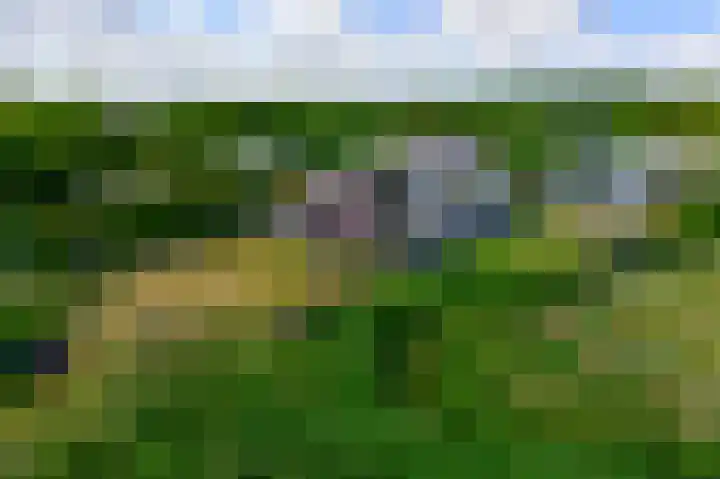 Eilandseweg 32 C174 Nederhorst den Berg thumbnail 25