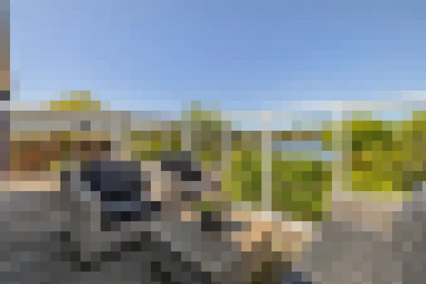 Eilandseweg 32 C186 Nederhorst den Berg thumbnail 23