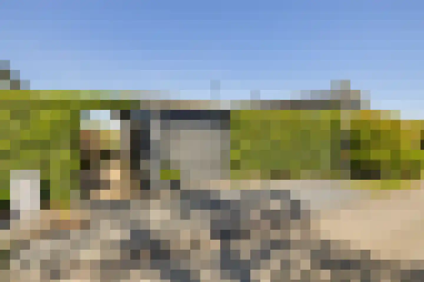 Eilandseweg 32 C186 Nederhorst den Berg thumbnail 7