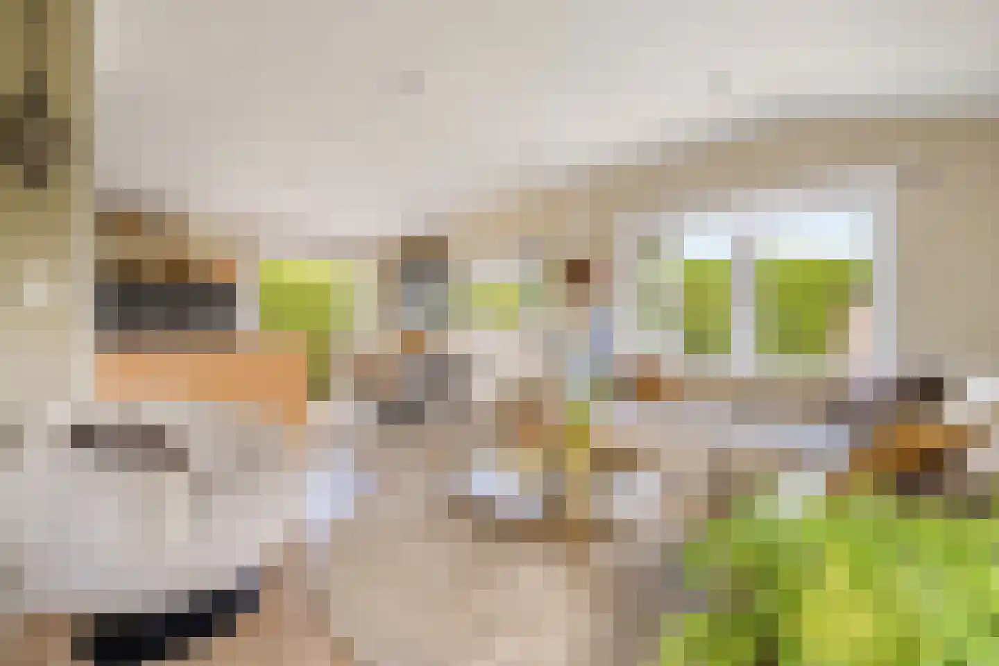 Eilandseweg 32 C226 Nederhorst den Berg thumbnail 8