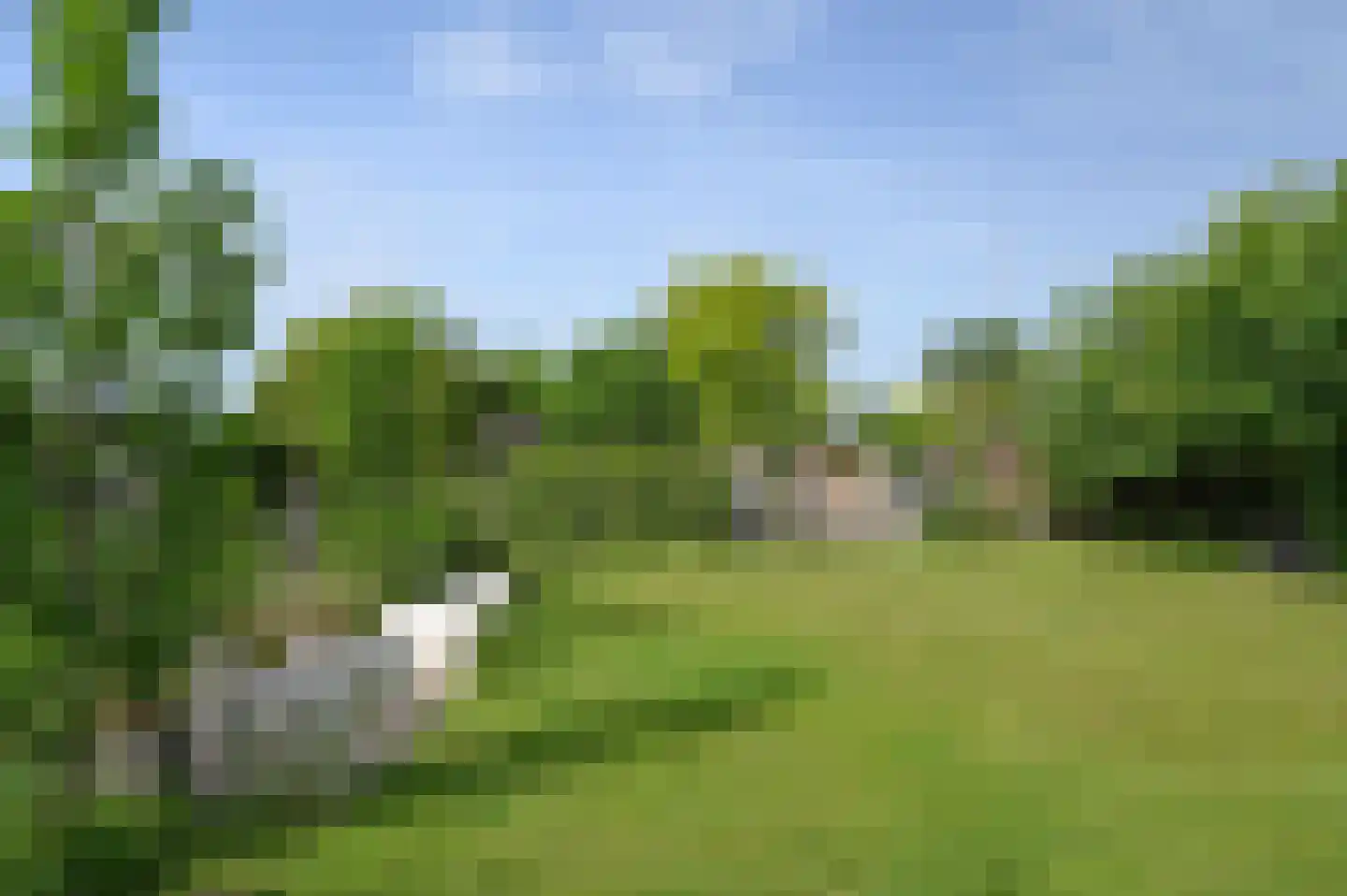 Eilandseweg 32 Nederhorst den Berg thumbnail 10
