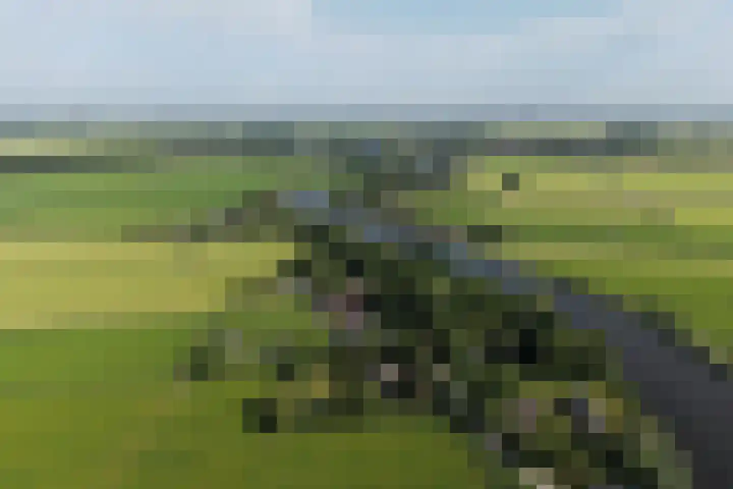 Eilandseweg 32 Nederhorst den Berg thumbnail 14