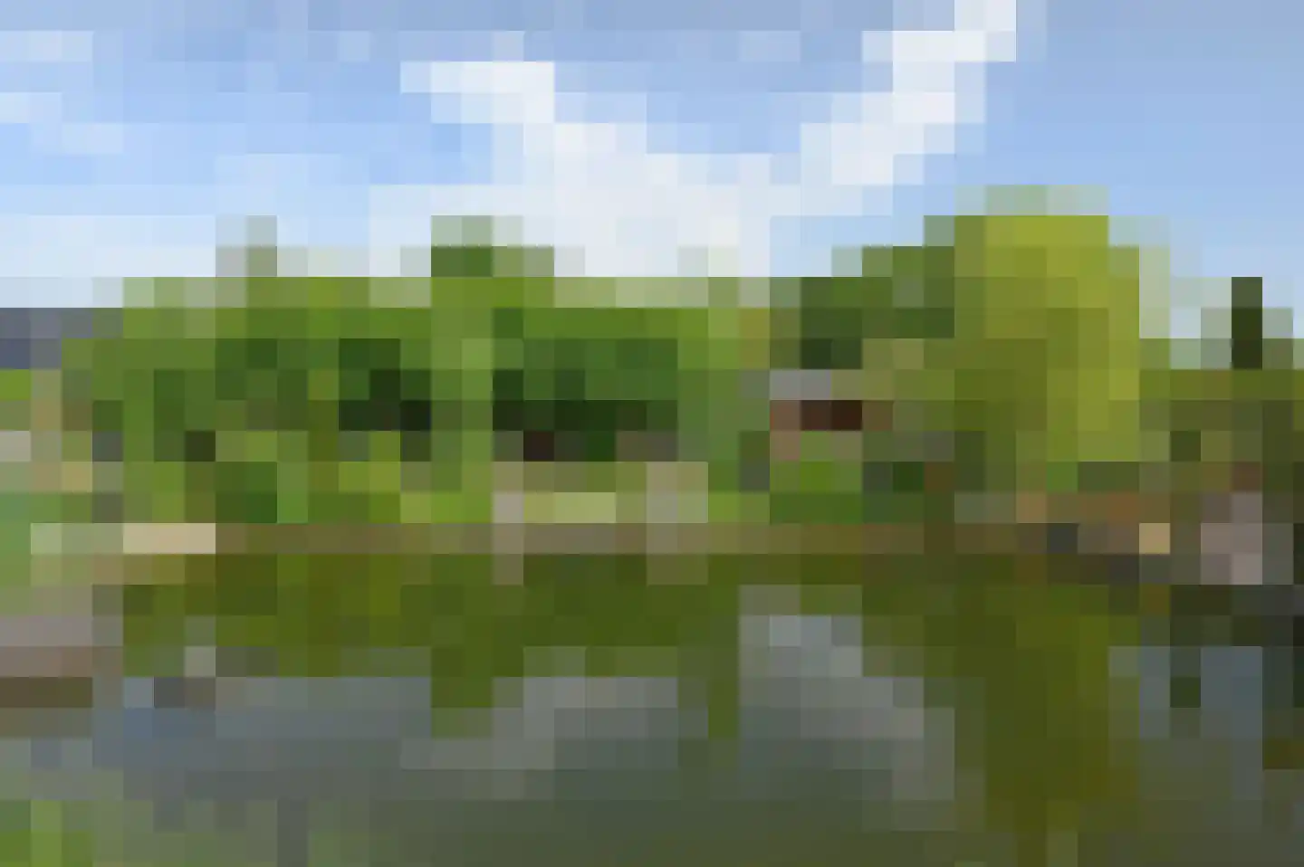 Eilandseweg 32 Nederhorst den Berg thumbnail 6