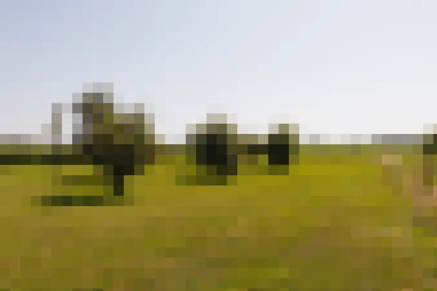 Eilandseweg 8 a Nederhorst den Berg thumbnail 58