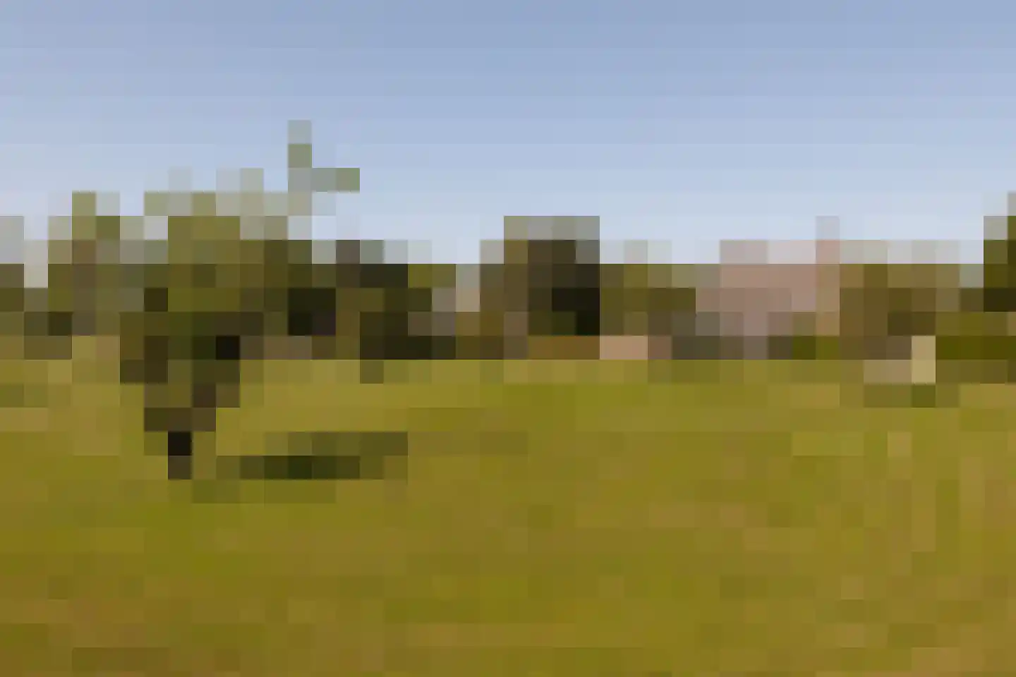 Eilandseweg 8 a Nederhorst den Berg thumbnail 59