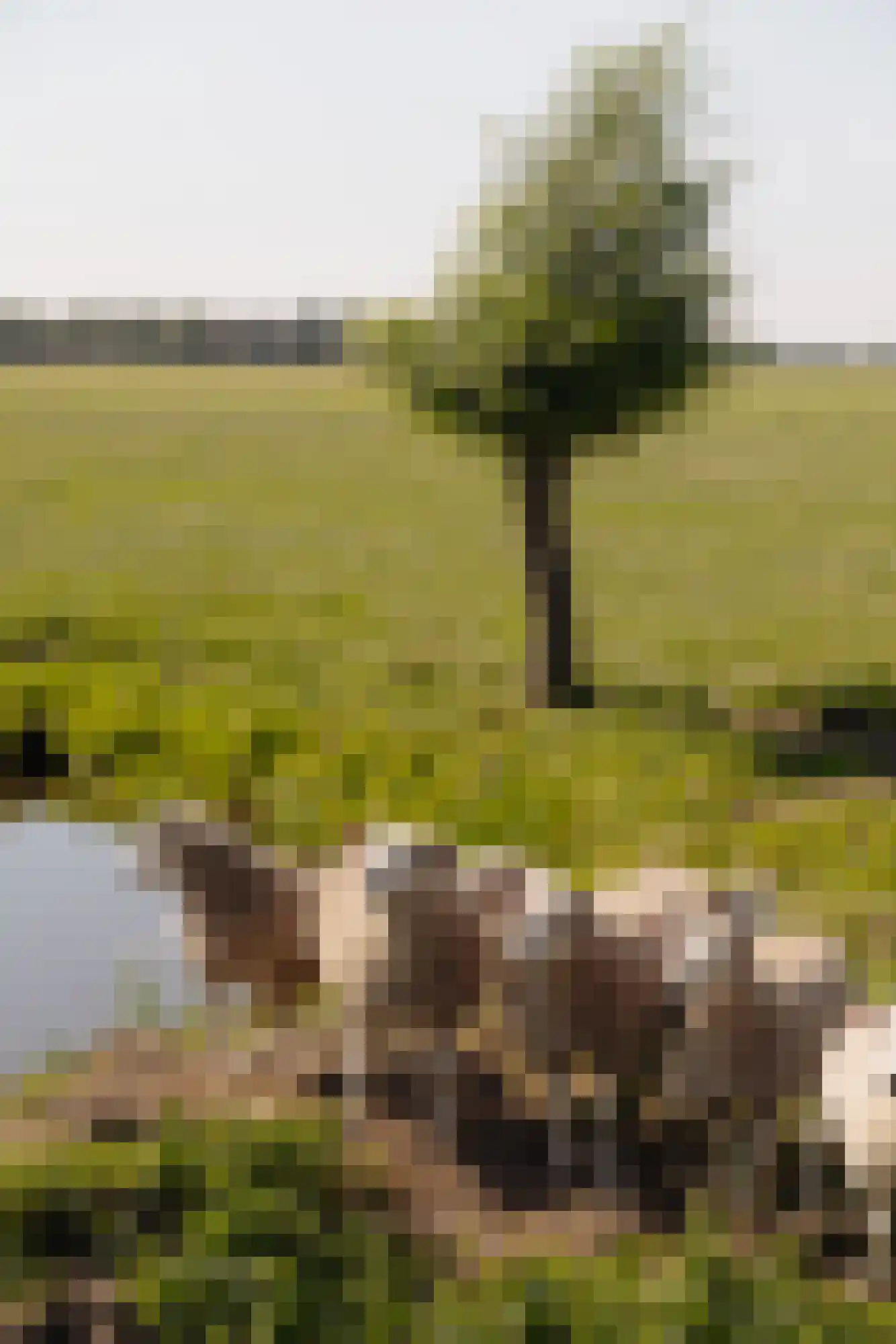 Eilandseweg 8 a Nederhorst den Berg thumbnail 60
