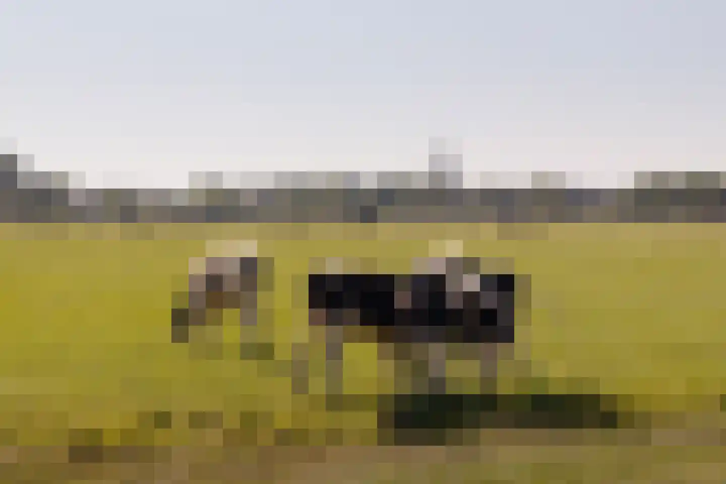 Eilandseweg 8 a Nederhorst den Berg thumbnail 61